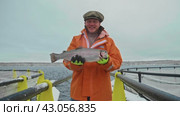 Frosty Harvest: Proud Fisherman with Fresh Catch at Aquaculture Farm. Стоковое видео, видеограф Даниил Хабаров / Фотобанк Лори