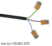 Соединители проводов без пайки на белом фоне. Push-wire connector  on white background. Стоковое фото, фотограф Татьяна Д / Фотобанк Лори