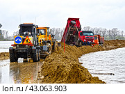 Сильный дождь мешает отсыпке защитной дамбы вдоль дороги.  Разлив реки Тобол в время половодья 2024 года. Тюменская область. Стоковое фото, фотограф Александр Тараканов / Фотобанк Лори