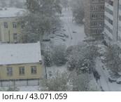 Майский снегопад и возвратные заморозки на Урале (2024 год). Стоковое фото, фотограф Сергей Елизарьев / Фотобанк Лори