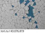 Peeling paint on the wall. Old concrete wall with cracked flaking paint. Weathered rough painted surface with patterns of cracks and peeling. Grunge texture for background and design. High resolution. Стоковое фото, фотограф Андрей Степанов / Фотобанк Лори