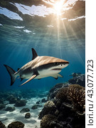 Blacktip ocean shark swimming in tropical underwaters. Sharks in underwater world. Observation of animal world. Scuba diving adventure in South Africa coast of RSA. Стоковое AI-изображение, AI-художник Aleksandr Golubev / Фотобанк Лори