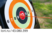 Archery targets. The arrow hits 10. Success target customer online marketing consultants. Dartboard arrow hitting in center. Business achievement concept. Straight to the aim symbol. Goal, shot, hit. Стоковое видео, видеограф Марина Демидюк / Фотобанк Лори