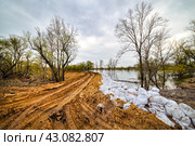 Защитная насыпь дамбы. Река Тобол. Село Пономарево. Тюменская область. 2024 год. Стоковое фото, фотограф Александр Тараканов / Фотобанк Лори