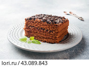 A piece of truffle cake with chocolate on a gray concrete background. Стоковое фото, фотограф Глущенко Елена / Фотобанк Лори