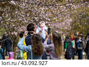 Молодая семья с ребенком в весеннем парке (2024 год). Редакционное фото, фотограф Андрей Иванов / Фотобанк Лори
