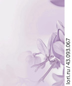 Blue purple lilac background. The wave line is undulation. Matte shimmer. Lavender background for Banner, design. Стоковое AI-изображение, AI-художник Ирина Ручушкина / Фотобанк Лори