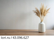 A modern white ceramic vase with dried grass on a wooden table. Scandinavian interior. An empty white wall with a shadow from the window. Стоковое AI-изображение, AI-художник Photojuli / Фотобанк Лори