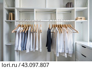 Close-up of white hangers on a white closet. The concept of order and storage in the house. Стоковое AI-изображение, AI-художник Photojuli / Фотобанк Лори