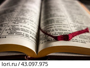 Открытая книга Библия на испанском языке крупным планом. На белой странице лежит красная лента закладки, корешки страниц золотого цвета./ Holy Bible in Spanish. Стоковое фото, фотограф Iva Noel / Фотобанк Лори