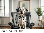 Portrait of a cute joyful Dalmatian dog. A banner with the image of a pet dog in the interior of a white and black living room. Стоковое AI-изображение, AI-художник Photojuli / Фотобанк Лори