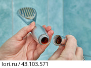 Detaching shower head from hose for cleaning or replacement. Стоковое фото, фотограф Владимир Григорьев / Фотобанк Лори