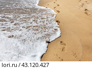 Пенистая морская волна, набегая на песчаный берег, смывает следы на мокром песке. The foamy sea wave running onto the sandy shore washes away the footprints. Стоковое фото, фотограф Лариса Гордеева / Фотобанк Лори
