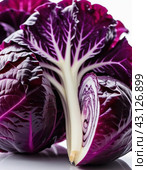 Red cabbage is a vegetable crop with red-violet leaf color and a common food product. Vegetable is used for fresh consumption in salads, for pickling, cultivated cabbage species. Generated AI. Стоковое AI-изображение, AI-художник Юлия Петровская / Фотобанк Лори