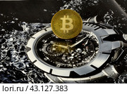 Биткоин. Стоковое фото, фотограф Вячеслав Сметанин / Фотобанк Лори