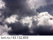 Background of storm clouds before a thunderstorm. Стоковое фото, фотограф Радомир Тарасов / Фотобанк Лори
