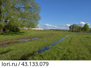 Бобренев монастырь, город Коломна (2024 год). Редакционное фото, фотограф Natalia Sidorova / Фотобанк Лори