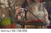 Creating a home decor element in the artist's studio. Making a florarium by the florist. Стоковое видео, видеограф Strunov David / Фотобанк Лори