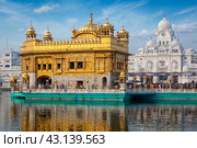 Golden Temple, Amritsar. Стоковое фото, фотограф Дмитрий Рухленко / Фотобанк Лори