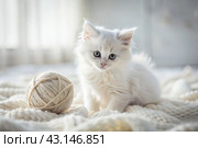 Pets. A small fluffy white kitten is playing with a ball of yarn on a white bed. A curious kitten lies on a white blanket and looks at the camera. Textiles, knitting. Стоковое AI-изображение, AI-художник Photojuli / Фотобанк Лори