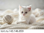 Pets. A small fluffy white kitten is playing with a ball of yarn on a white bed. A curious kitten lies on a white blanket and looks at the camera. Textiles, knitting. Стоковое AI-изображение, AI-художник Photojuli / Фотобанк Лори