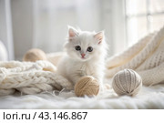 Pets. A small fluffy white kitten is playing with a ball of yarn on a white bed. A curious kitten lies on a white blanket and looks at the camera. Textiles, knitting. Стоковое AI-изображение, AI-художник Photojuli / Фотобанк Лори