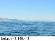Камчатка. Морская прогулка по Тихому океану. Вид на вулканы. Стоковое фото, фотограф Staryh Luiba / Фотобанк Лори