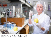 Female geneticist working in laboratory, injecting additives into apple during experiments with genetically modified apple. Стоковое фото, фотограф Яков Филимонов / Фотобанк Лори