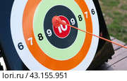 Archery targets. The arrow hits 10. Success target customer online marketing consultants. Dartboard arrow hitting in center. Business achievement concept. Straight to the aim symbol. Goal, shot, hit. Стоковое видео, видеограф Марина Демидюк / Фотобанк Лори