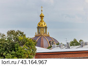 Фрагмент Петропавловского Собора в Санкт-Петербурге. Стоковое фото, фотограф Юрий Шурчков / Фотобанк Лори