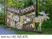 Деревянный арт-объект с изображением животных и природы и большой надписью «Валдайская тропа». Туристическая экологическая тропа в лесу. Валдайский национальный парк, Новгородская область, Россия. (2023 год). Редакционное фото, фотограф Андрей Степанов / Фотобанк Лори