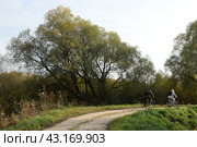 Дорога вдоль берега Куршского залива. Калининградская область (2022 год). Редакционное фото, фотограф Free Wind / Фотобанк Лори