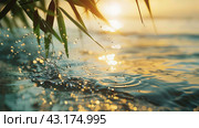 Капли воды и листья бамбука на фоне закатного солнца над водной поверхностью. Стоковое AI-изображение, AI-художник Анна Добрыдень / Фотобанк Лори
