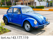 Volkswagen Beetle (2017 год). Редакционное фото, фотограф Art Konovalov / Фотобанк Лори