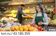 Saleswoman in an apron puts ripe tomatoes on a supermarket window. Стоковое видео, видеограф Яков Филимонов / Фотобанк Лори