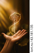 Ethereal Golden Key in Hand. Стоковое AI-изображение, AI-художник Margarita Davchenko / Фотобанк Лори