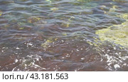 Clear water, visible stones under water, yellow stones чистая вода, видимые камни под водой, желтые камни. Стоковое видео, видеограф Опока Алексей / Фотобанк Лори