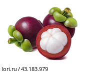 Tropical mangosteen isolated on white background. Стоковое фото, фотограф Катерина Ковалева / Фотобанк Лори