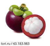 Mangosteen isolated on white background. Whole and cut in half piece. Стоковое фото, фотограф Катерина Ковалева / Фотобанк Лори