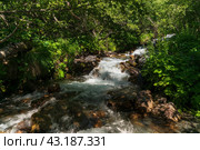 The sources of the Alibek River flowing down from the mountain slopes of the North Caucasus on the territory of the Teberdinsky Reserve on a sunny summer day, Dombai, Karachay-Cherkessia, Russia. Стоковое фото, фотограф Ula Ulachka / Фотобанк Лори