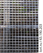 Metal mesh, flooring on the ground. Стоковое фото, фотограф Елена Смыкова / Фотобанк Лори
