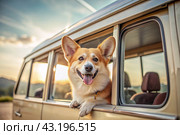 The concept of traveling with animals. A dog sticks its head out of the window of a car, a tourist van during a trip on a hot sunny day. Стоковое AI-изображение, AI-художник Photojuli / Фотобанк Лори