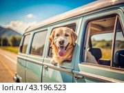 The concept of traveling with animals. A dog sticks its head out of the window of a car, a tourist van during a trip on a hot sunny day. Стоковое AI-изображение, AI-художник Photojuli / Фотобанк Лори
