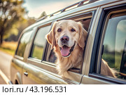 The concept of traveling with animals. A dog sticks its head out of the window of a car, a tourist van during a trip on a hot sunny day. Стоковое AI-изображение, AI-художник Photojuli / Фотобанк Лори