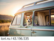 The concept of traveling with animals. A dog sticks its head out of the window of a car, a tourist van during a trip on a hot sunny day. Стоковое AI-изображение, AI-художник Photojuli / Фотобанк Лори