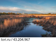Trinity-Sergius Varnitsky Monastery. Dry reeds in the water in the golden rays of the sun. Стоковое фото, фотограф Саблин Станислав / Фотобанк Лори