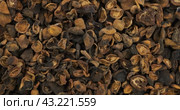 Вращение сушеных плодов абрикоса. Вид сверху. Крупный план. Rotation of dried apricot fruit. Top view. Стоковое видео, видеограф Александр Собко / Фотобанк Лори