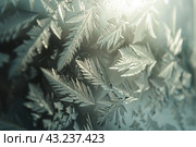 Winter frost patterns on glass. Ice crystals. Abstract light blank cold winter background or wallpaper. Frost patterns on frozen window. Frosted glass. Freezing effect. Frostwork. Harsh season. Cold. Стоковое AI-изображение, AI-художник Марина Демидюк / Фотобанк Лори