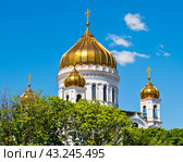 Купола храма Христа Спасителя на фоне синего неба. Солнечный весенний день. Москва. Россия (2024 год). Стоковое фото, фотограф E. O. / Фотобанк Лори