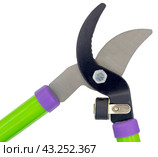 Садовый секатор на белом фоне. Gardening secateurs for cutting branches isolated on white. Стоковое фото, фотограф Татьяна Д / Фотобанк Лори